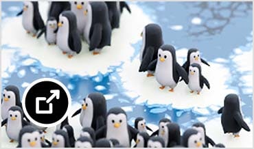 Many penguins on ice 