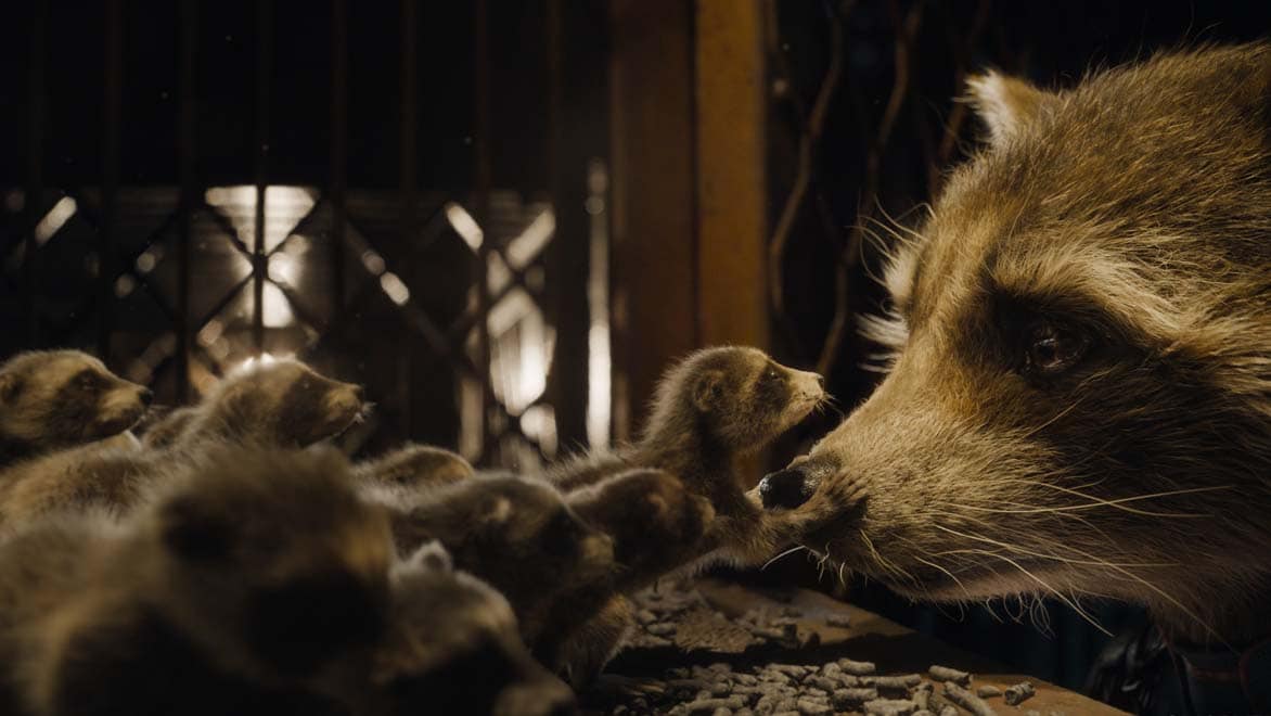 Baby raccoons gazing at mother racoon, created with Autodesk Maya 