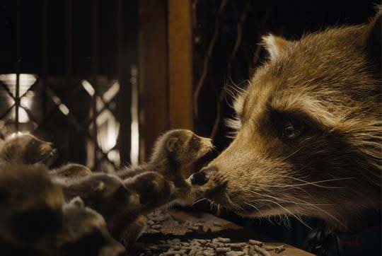 浣熊宝宝凝视着浣熊妈妈，使用 Autodesk Maya 制作