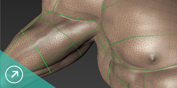 Mudbox retopology tools
