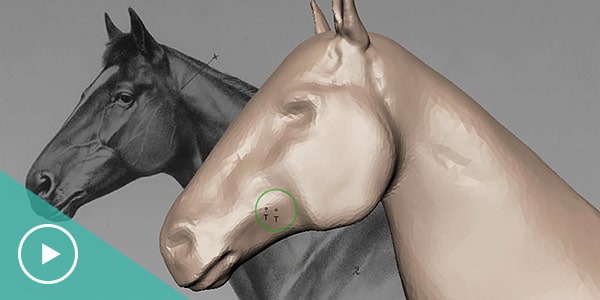 video:Smart topology with dynamic tesselation