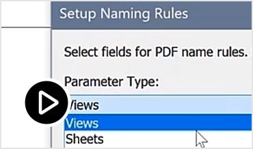 Video: Improve documentation efficiency with options similar to the print dialog and user-defined naming rules 