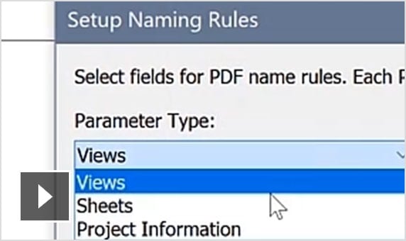 Video: Improve documentation efficiency with options similar to the print dialog and user-defined naming rules