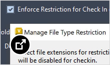 Vault interface with open dialogue box to manage file type restrictions