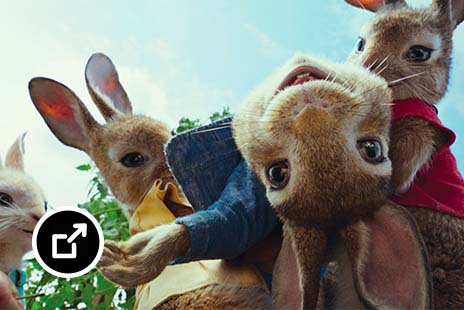 Four CG rabbits in Columbia Pictures’ Peter Rabbit