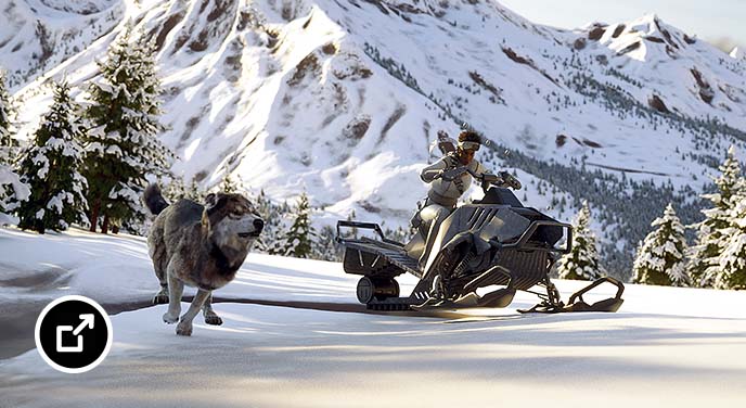 Wolf and woman on snowmobile racing away from snowy mountain 