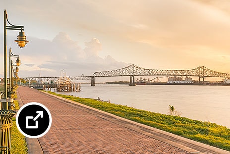 A path by a body of water, with a bridge in the distance