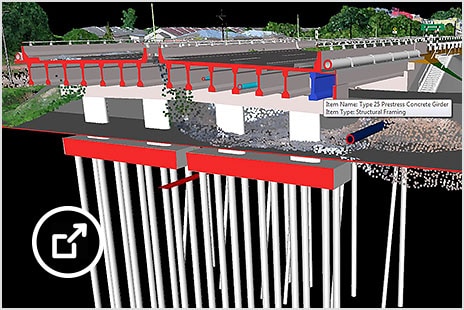 Simulação de modelo 3D do esqueleto estrutural abaixo da média de uma seção da rodovia Pan-Bornéu