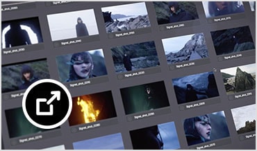 ShotGrid software displaying thumbnails from project