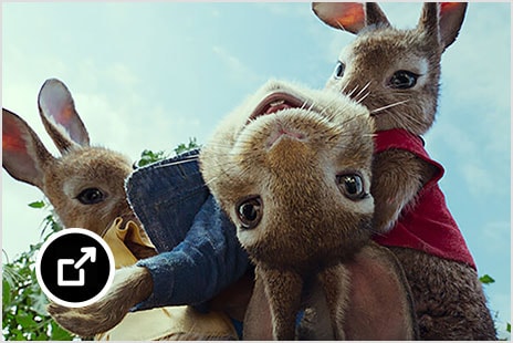 Neljä tietokonegrafiikalla luotua kaniinia Columbia Picturesin Petteri Kaniini -elokuvassa vuonna 2018