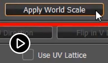 视频：UV 编辑器中的世界比例单位 