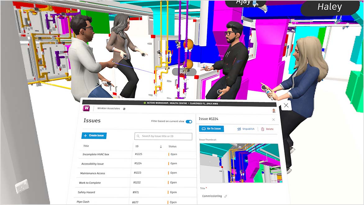 Application screenshot of issues console 