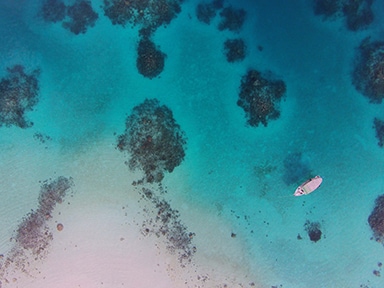 Arial view of coral reef