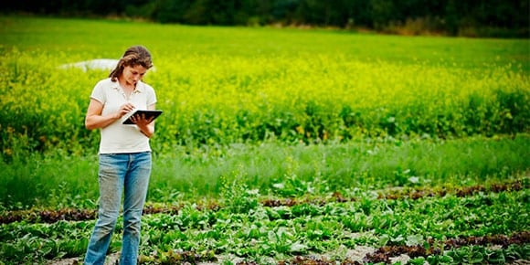 Woman using tablet outside on a farm