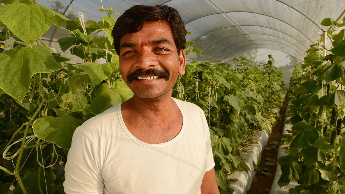 Smallholder farmer stands in greenhouse