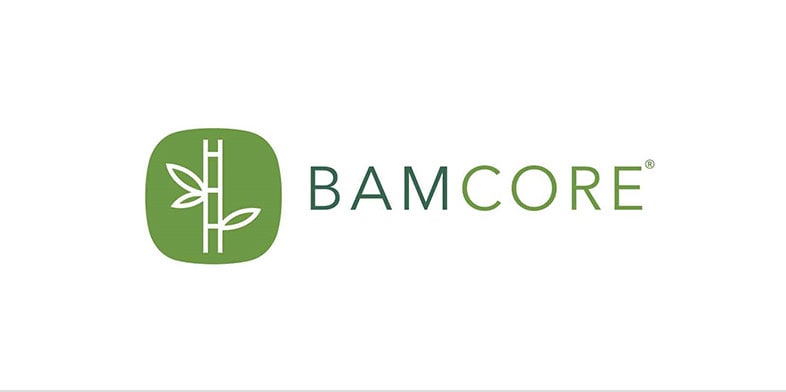BamCore logo